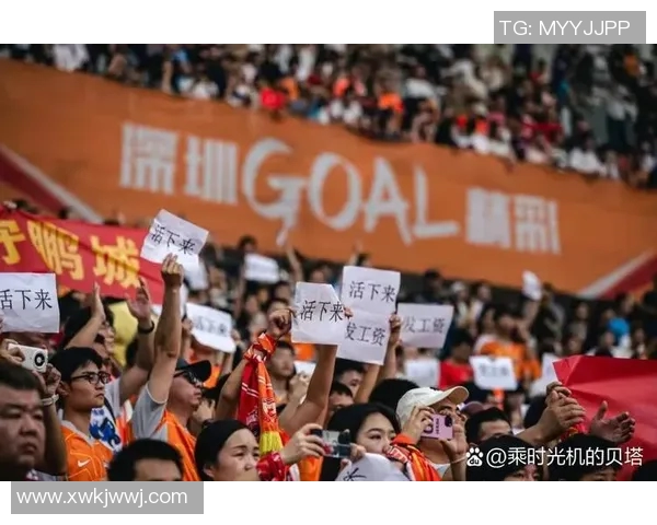 深圳足球队实力剖析：从青训到职业联赛的全面发展与挑战